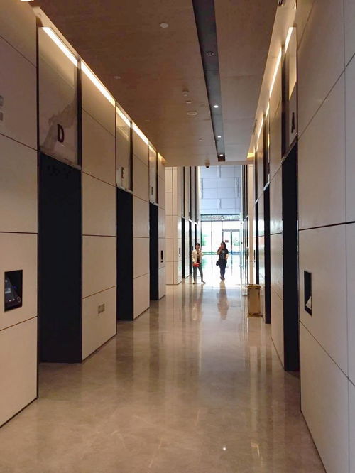 2019年廣西建筑裝飾工程優(yōu)質(zhì)獎(jiǎng)精品工程——廣西九洲國(guó)際項(xiàng)目大堂裝飾裝修工程